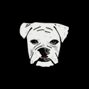 Favicon of The Underdog Newsletter