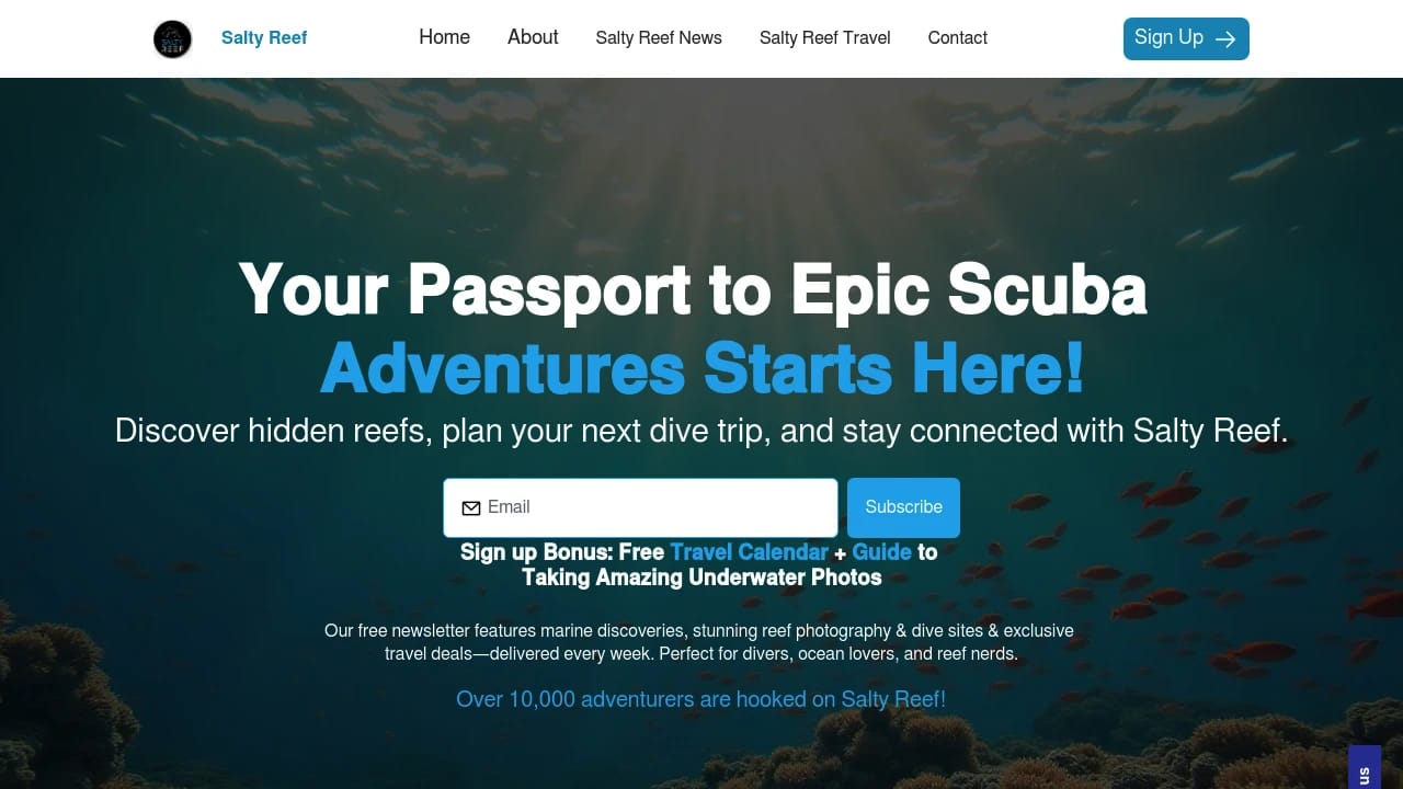Screenshot of Salty Reef website