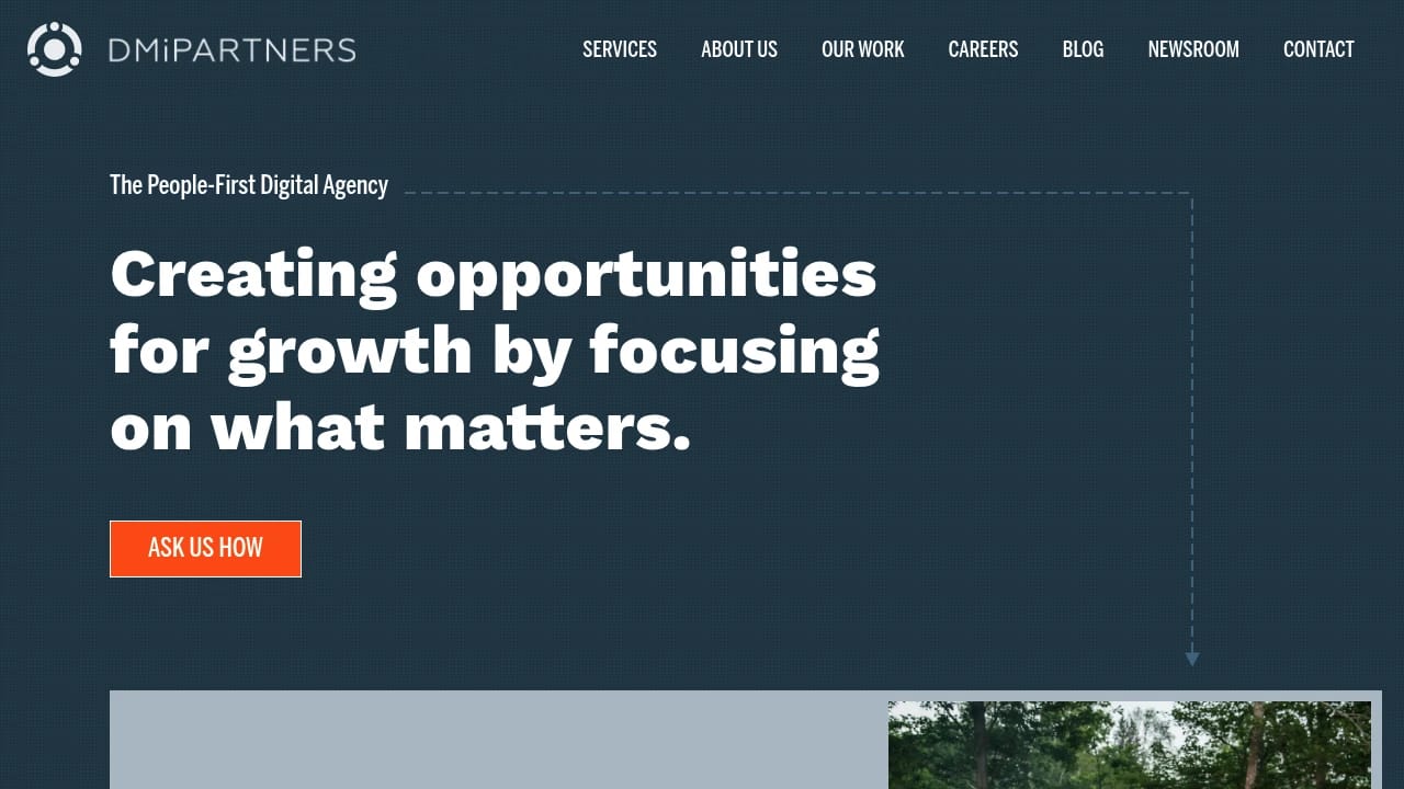 Screenshot of DMi website