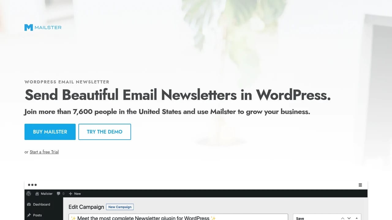 Screenshot of Mailster website