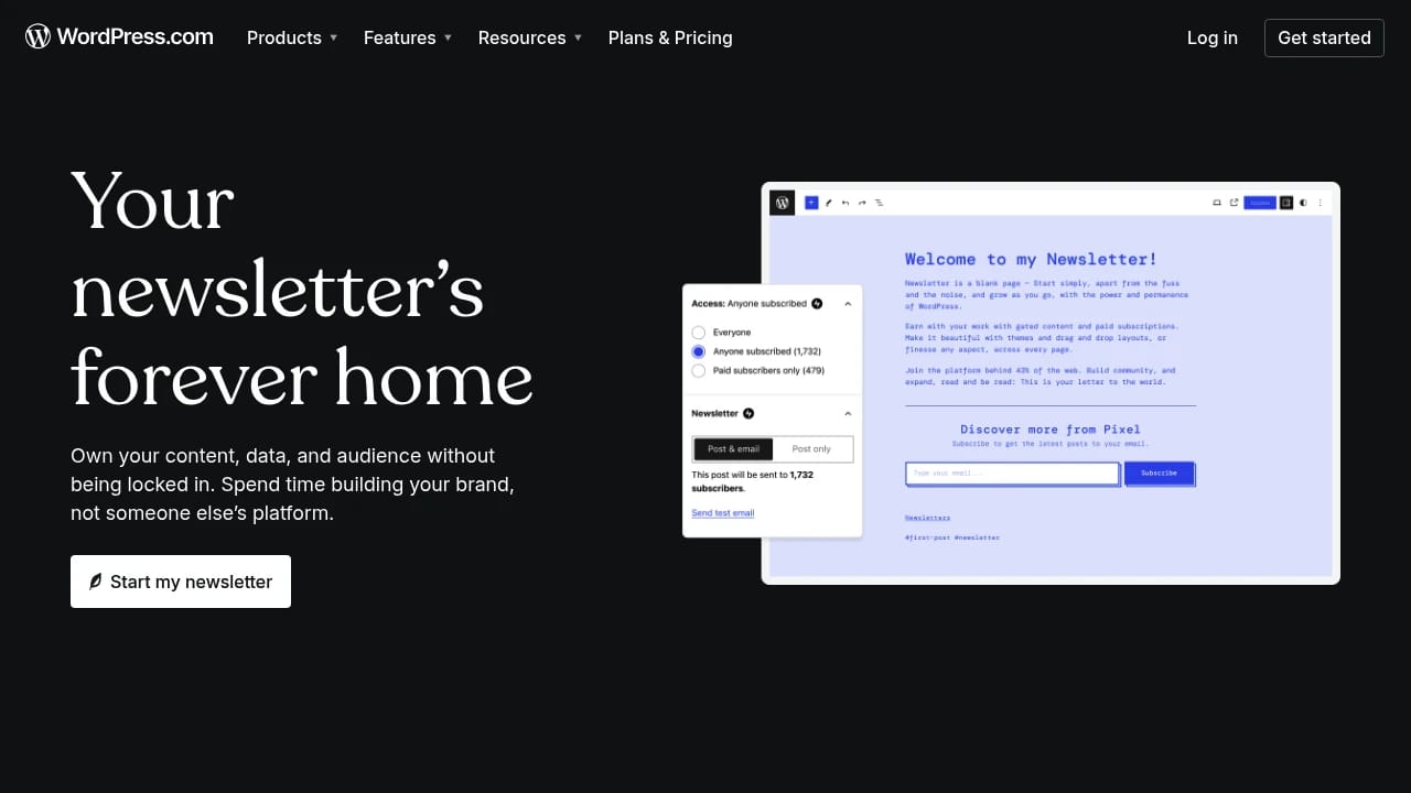 Screenshot of Wordpress Newsletters website